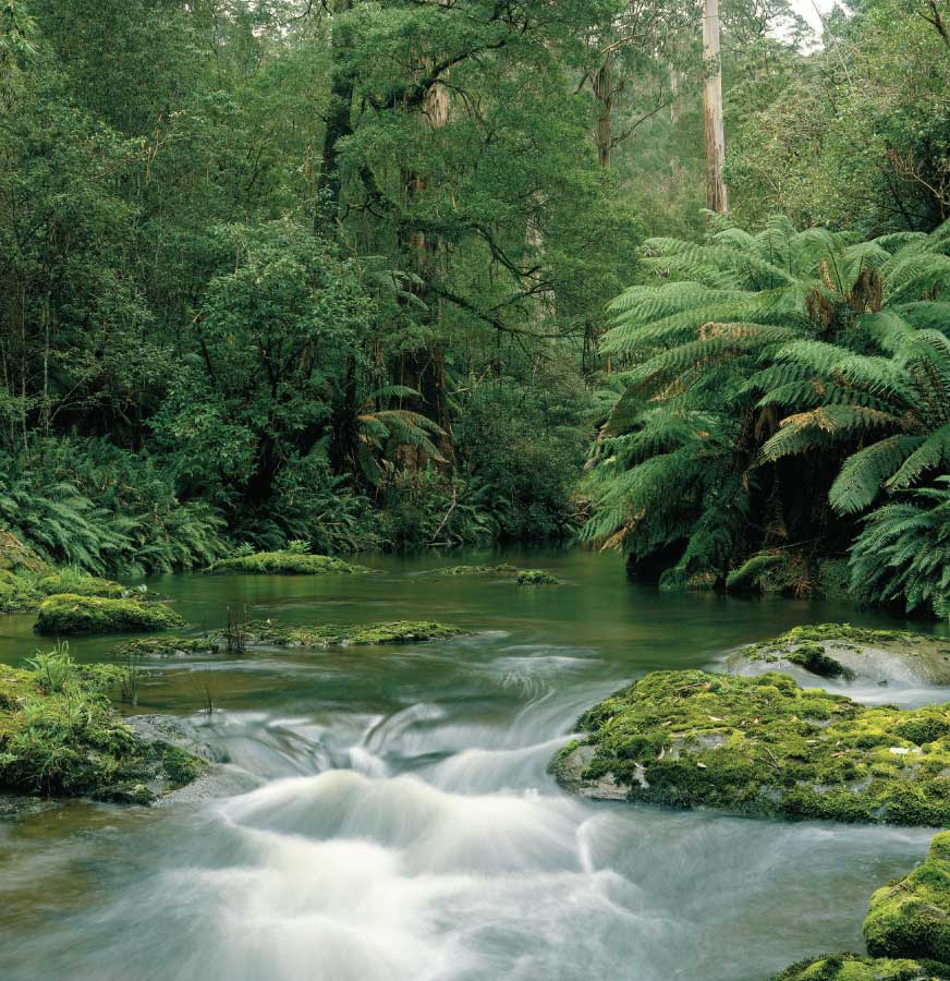 Cumberland River Otways